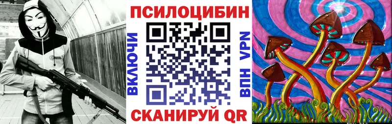 Галлюциногенные грибы Psilocybine cubensis  Игарка 