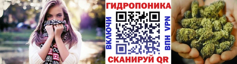 где найти   Игарка  Канабис OG Kush 